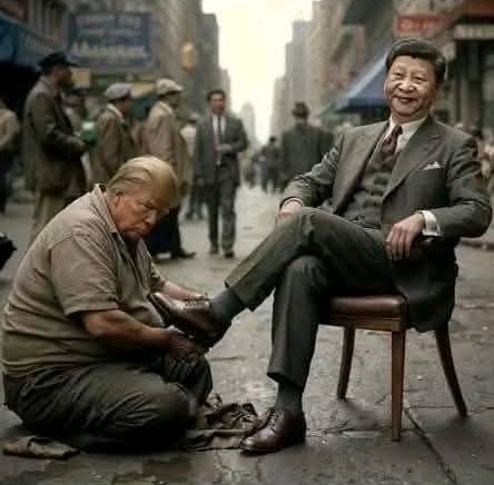          4  -               Fans d