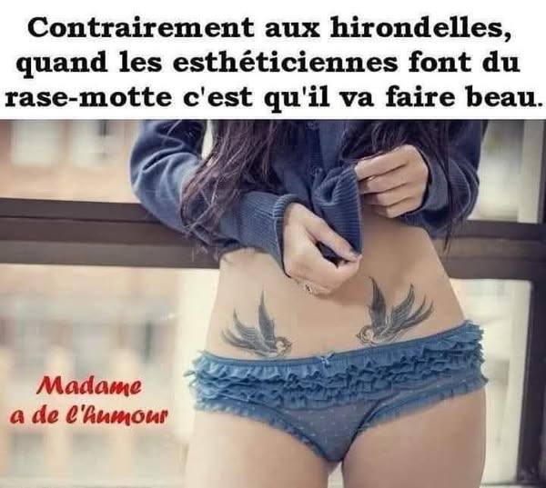 Faut pas raser le nid