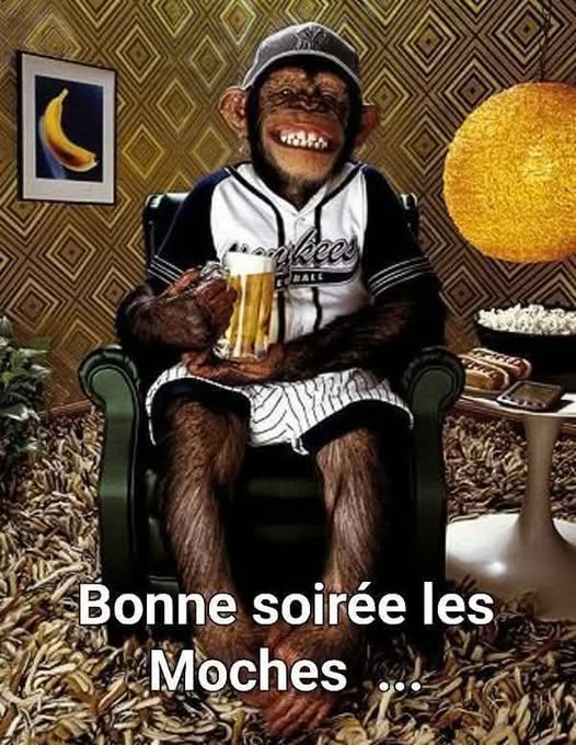 Moche toi même 🤣🤣