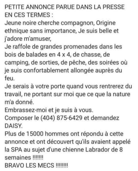 Surpriiiise, les gars!!🤣😂🤣😂🤣😂🤣😂🤣😂🤣😂🤣!