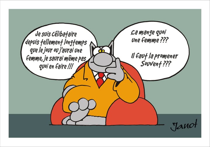 LE CHAT VOUS PARLE