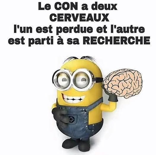 C est ce qu on nomme  un cerveau lent 🤣😂