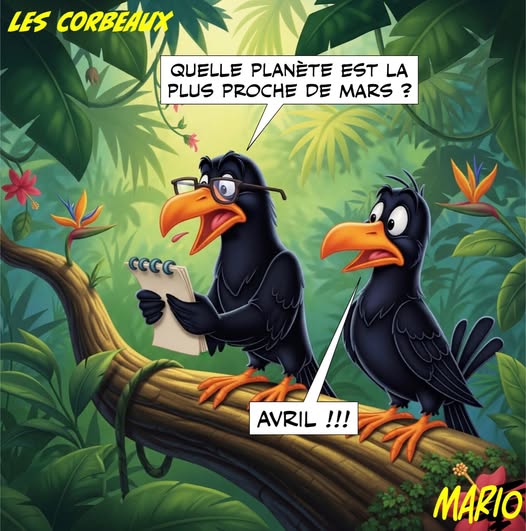 Donc la constellation du poisson
