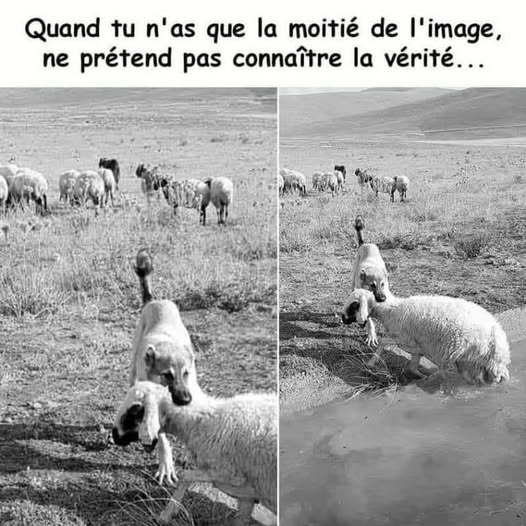 et pourtant c