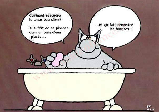 La philosophie du Chat