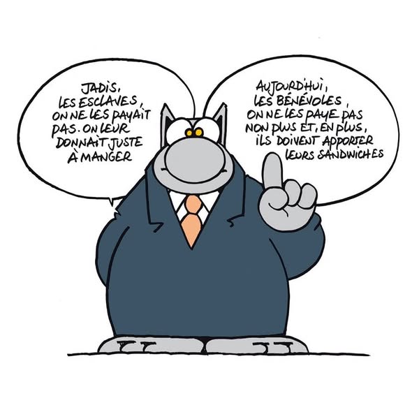 Le Chat analyste  ! 😼