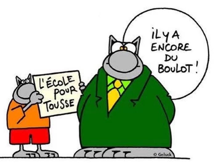 Le Chat analyste ! 😼