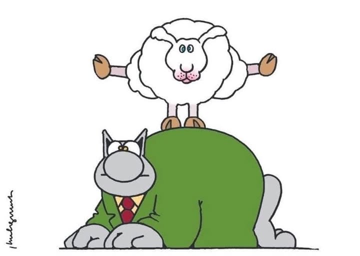 Le Chat bon joueur en mode saute-mouton ! 😺 🐑