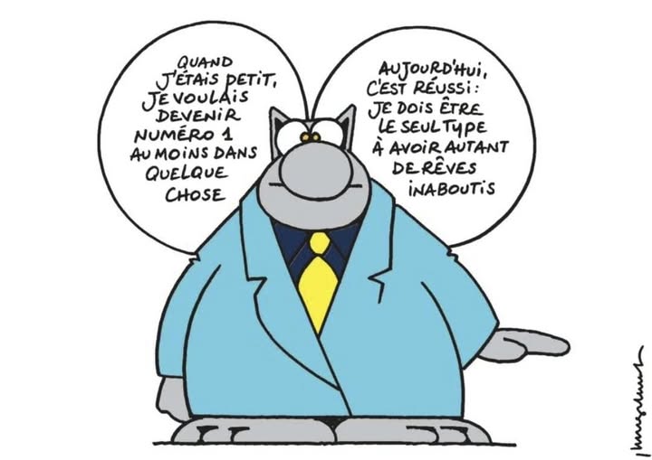 Le Chat en plein spleen ! 😼