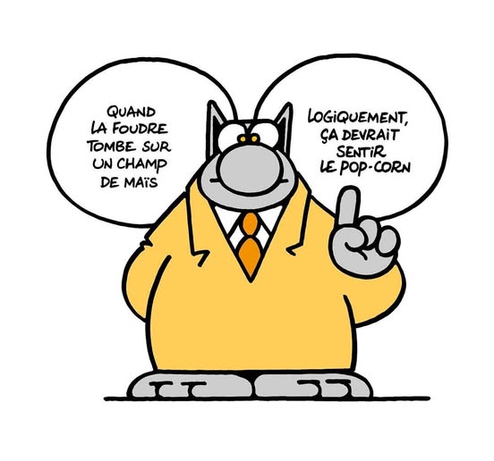 Le Chat logique  ! 🌽 🍿😺