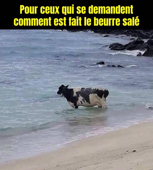 Merci de fournir un tuba pour le veau élevé sous la mer.