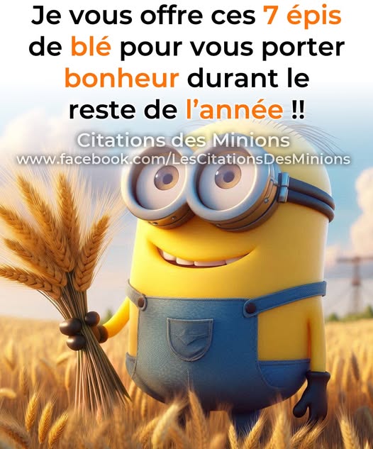 😘 Tradition de la Saint Jean 🥰