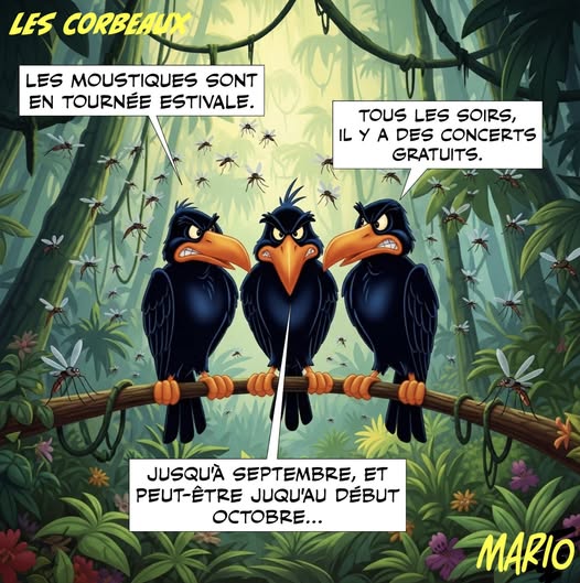 Vraiment il sont chiant 